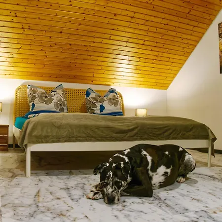Apartamento Schlossblick Schillingsfürst *