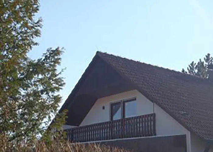 Schlossblick Schillingsfuerst *